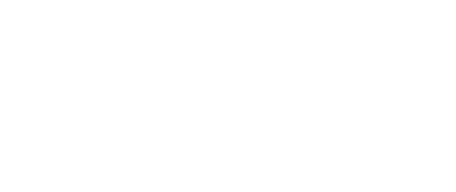 Ecomm Nexus Logo white